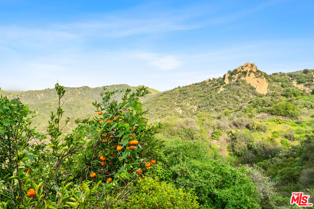1432 Penny Road, Unit A Topanga, CA 90290 - Photo 19 of 27