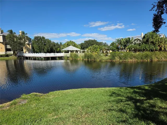 a view of a park with large trees