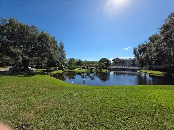 a lake view