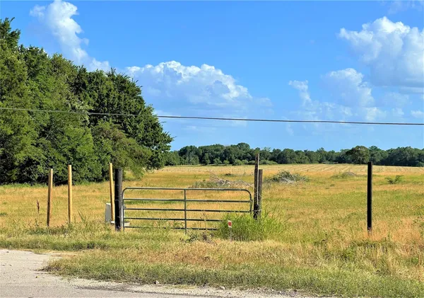 a view of a field with trees in the background