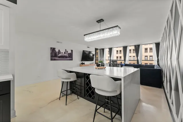 $250,000 | 201 East Chestnut Street, Unit 11E, Chicago, IL 60611