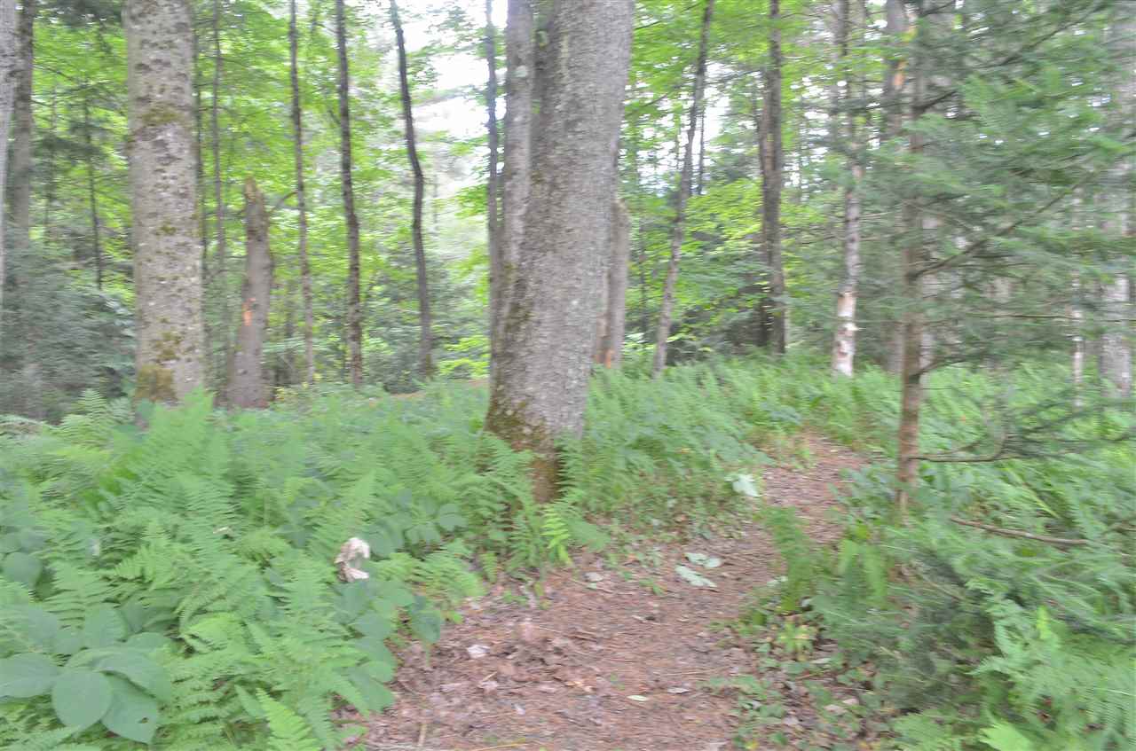 483 Twin Peaks Road Waterbury, VT 05677 - Photo 16 of 40 Gallery Image 16
