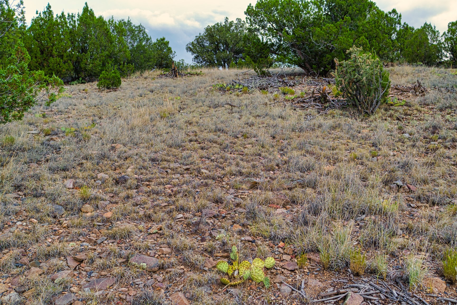 176 Wagon Trail Road Cerrillos, NM 87010 - Photo 16 of 35