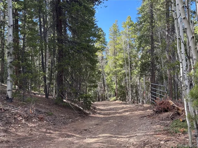 a view of a tree in a yard