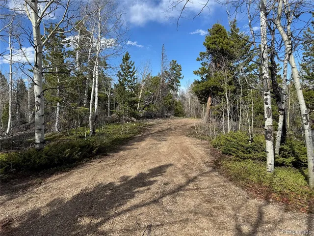 a view of a yard with plants and trees