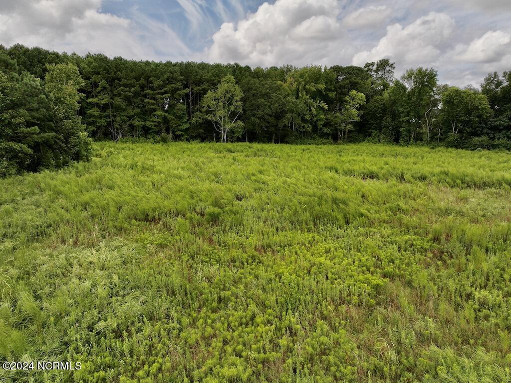 0 Michele Road Scotland Neck, NC 27874 - Photo 23 of 26 23