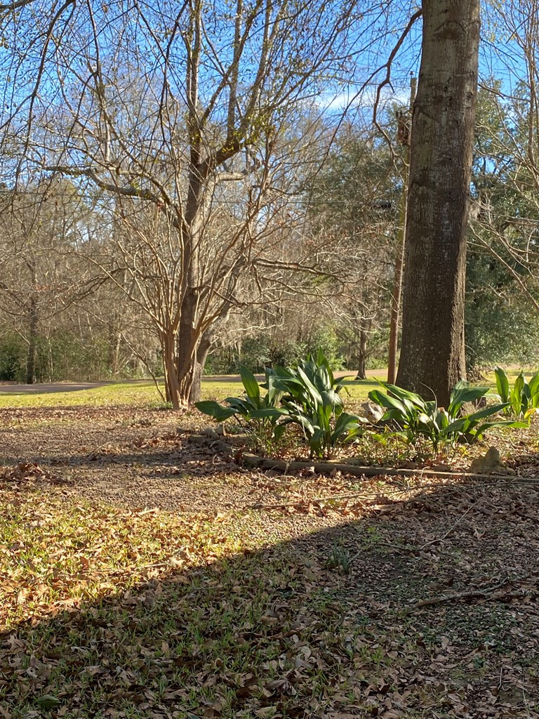 92 Clifford Road Natchez, MS 39120 - Photo 2 of 32 Photo 2