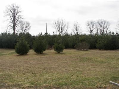 13772 Gleason Road Three Rivers, MI 49093 - Photo 9 of 9 Additional Photo