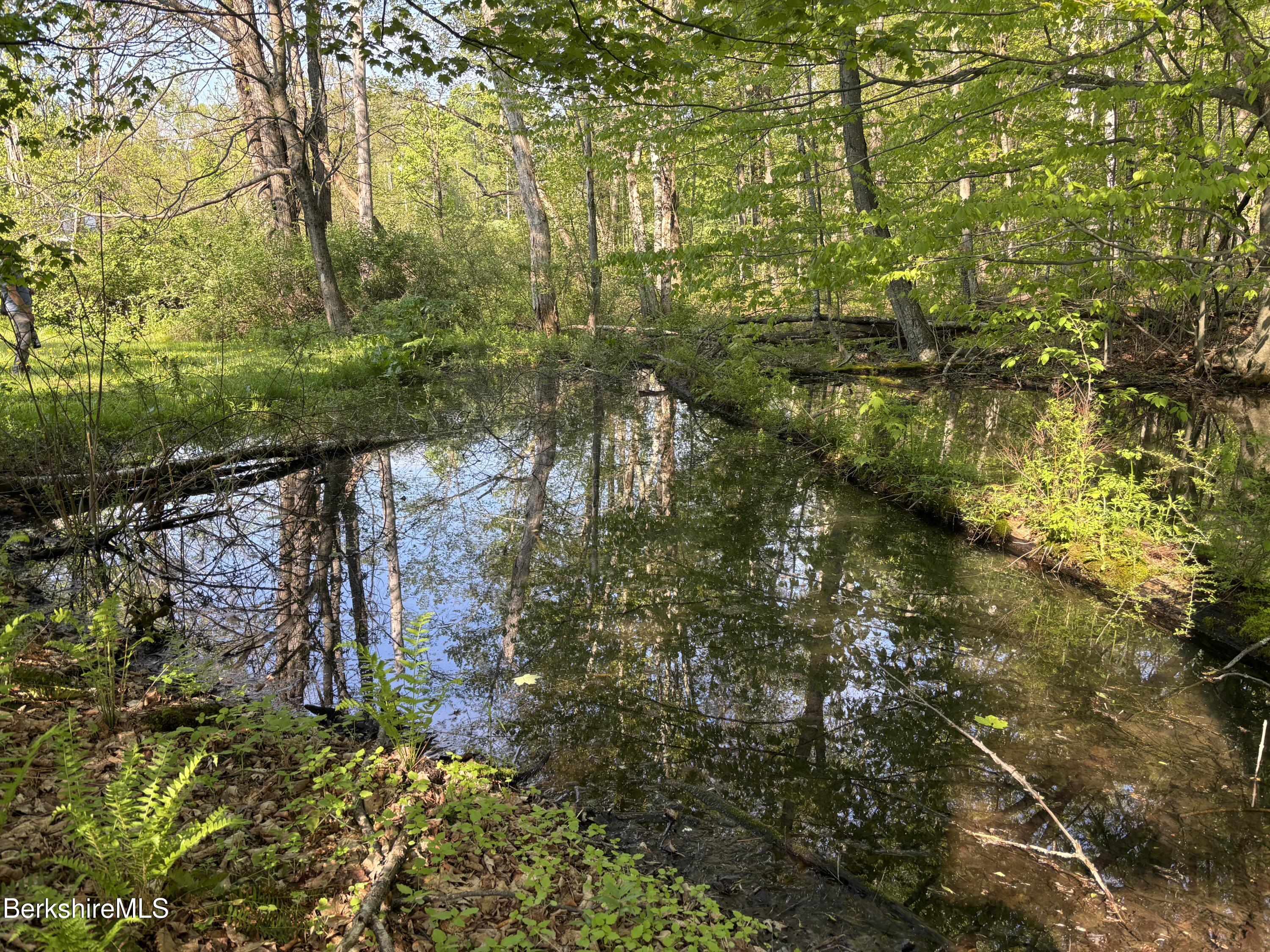 86 Miner Road Lanesborough, MA 01237 - Photo 5 of 44 a view of a garden