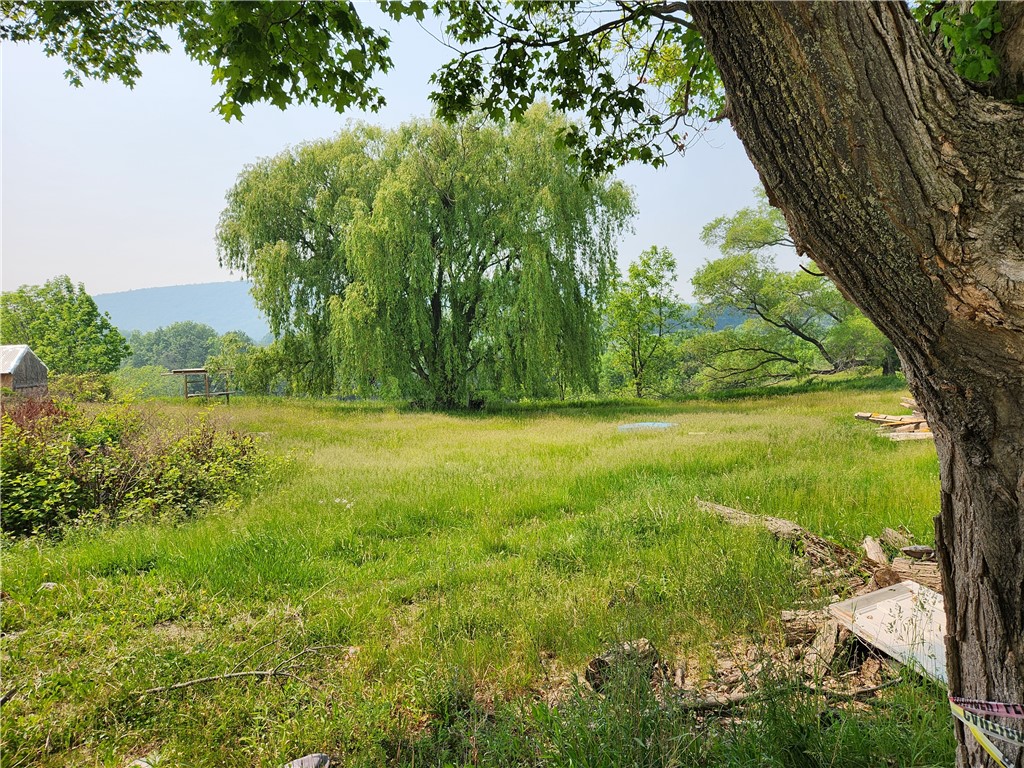 8804 State Rte 21 Naples, NY 14512 - Photo 2 of 5