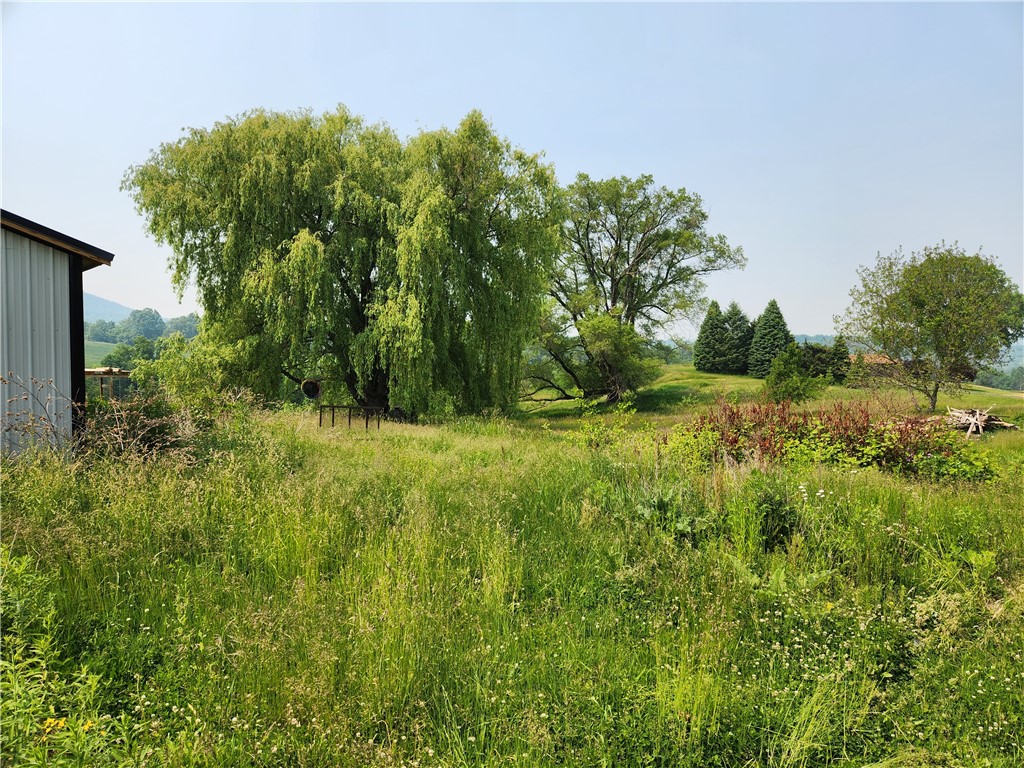 8804 State Rte 21 Naples, NY 14512 - Photo 4 of 5