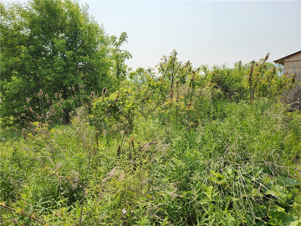 8804 State Rte 21 Naples, NY 14512 - Photo 5 of 5