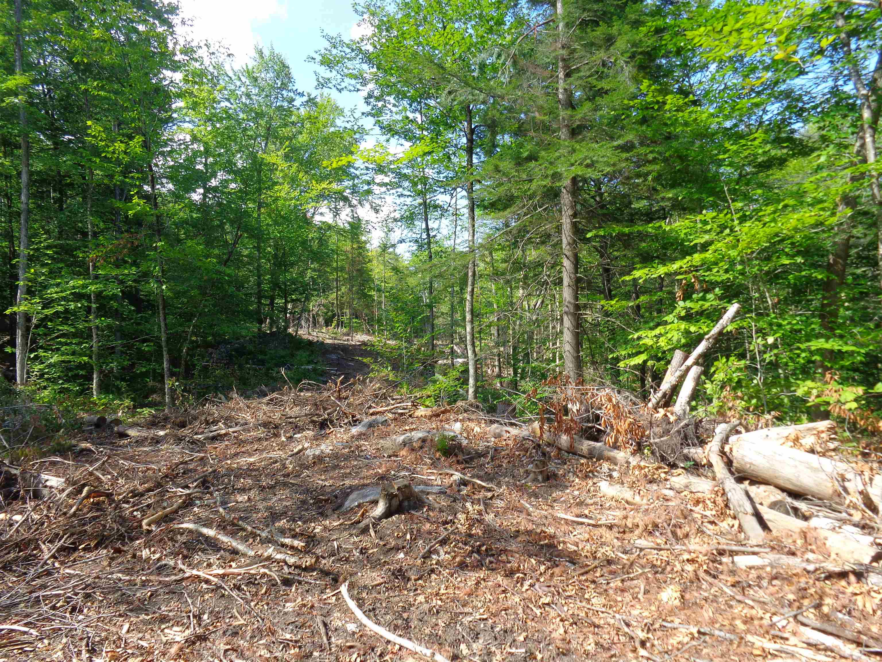 Lot 80-2 Robie Road, Unit 2 Alexandria, NH 03222 - Photo 17 of 23
