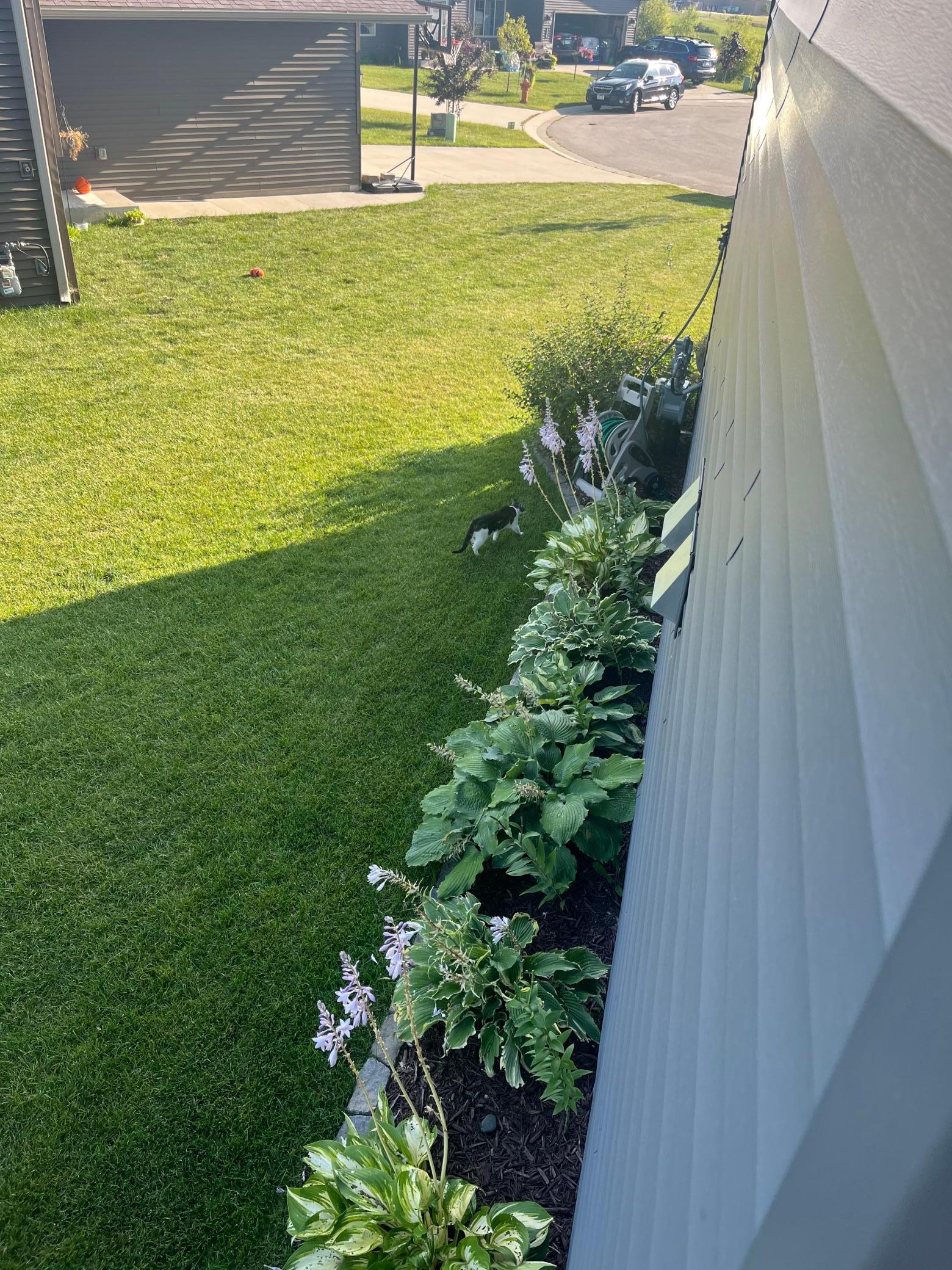 3974 Orchardview Lane Northwest Rochester, MN 55901 - Photo 54 of 57