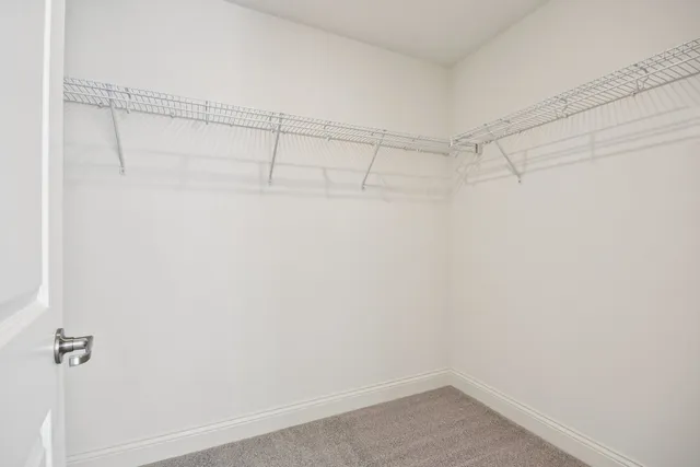 a view of a room with racks on the wall