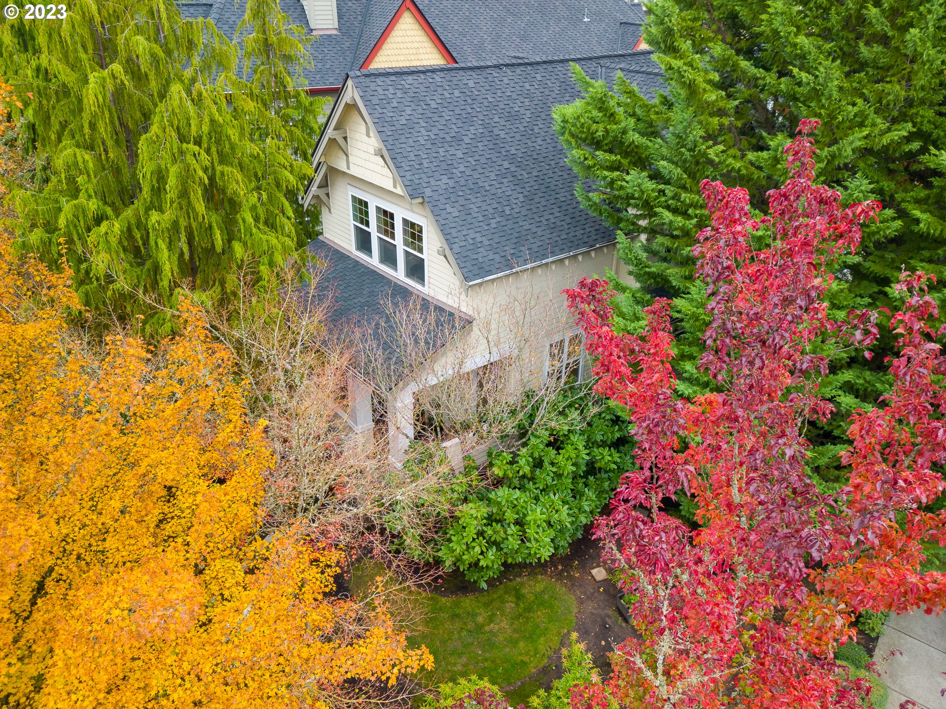 2306 Northwest Miller Road Portland, OR 97229 - Photo 39 of 46 a picture of flowers
