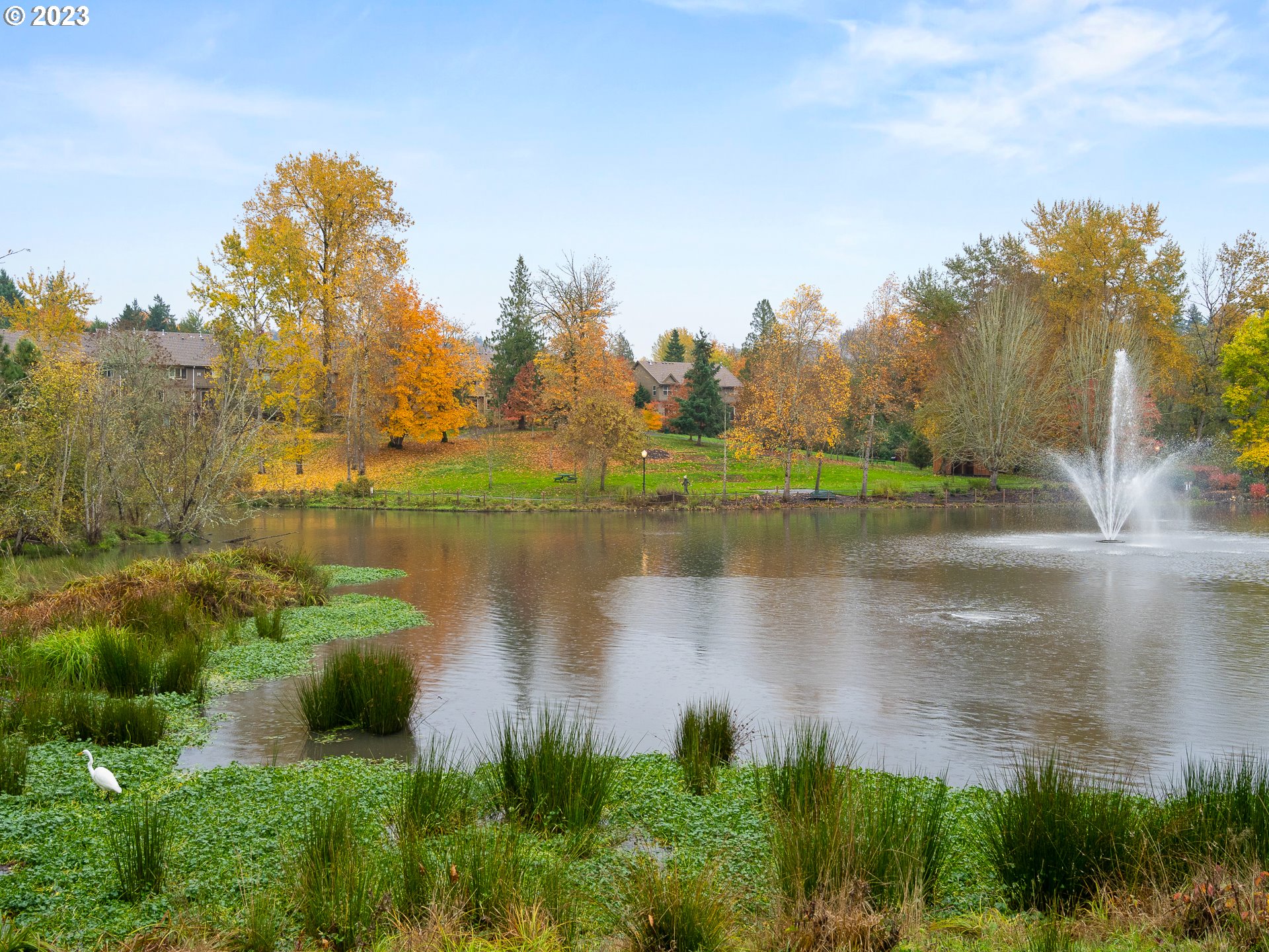 2306 Northwest Miller Road Portland, OR 97229 - Photo 46 of 46 a view of lake with green space