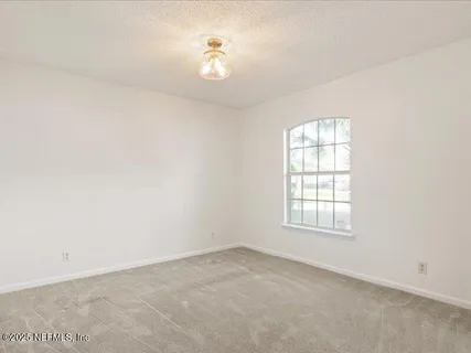 a backyard of a house with plants and large trees