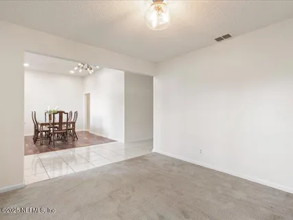 a view of a garden with plants