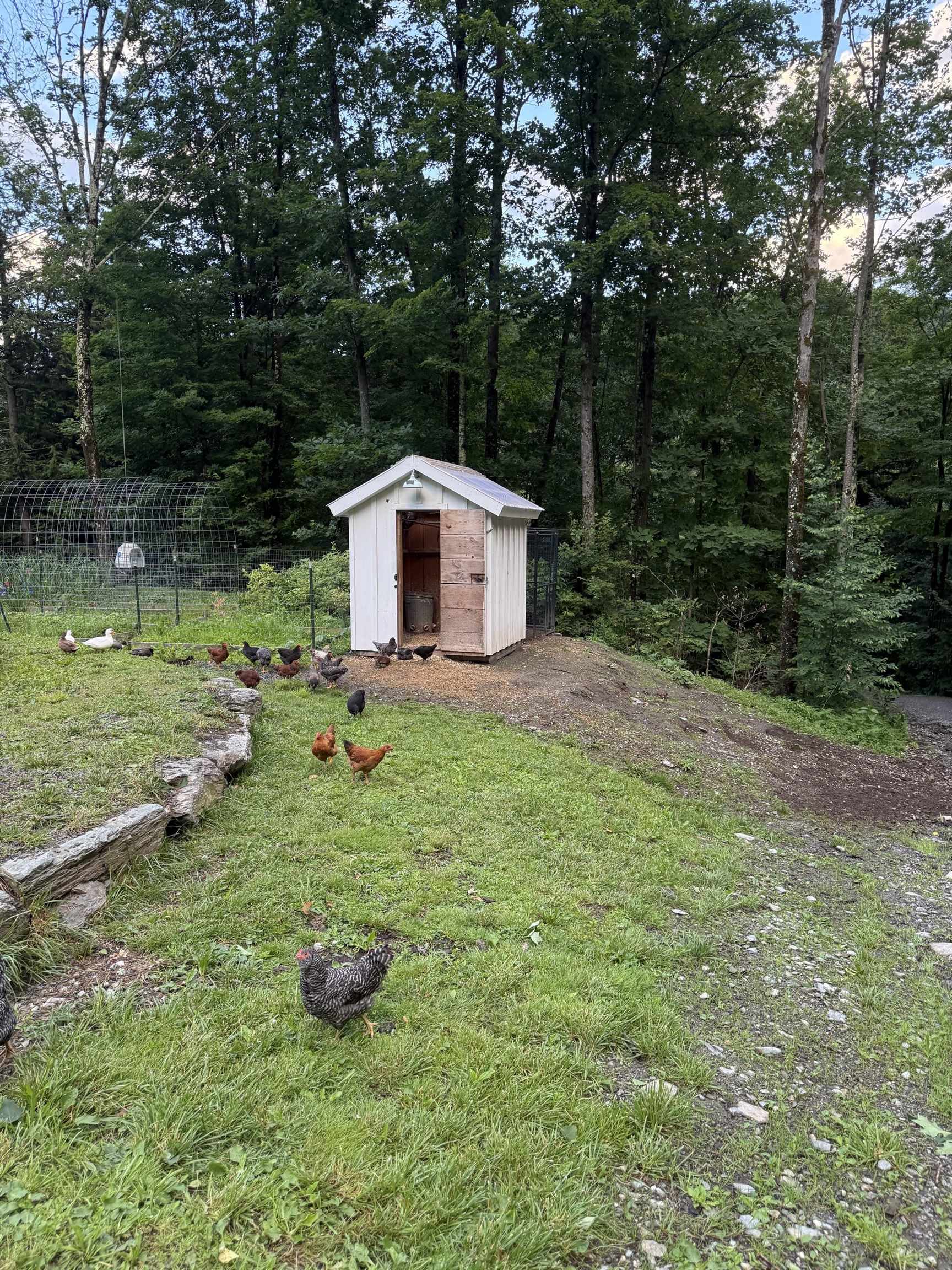 653 Saw Mill Hill Road Wells, VT 05774 - Photo 6 of 40