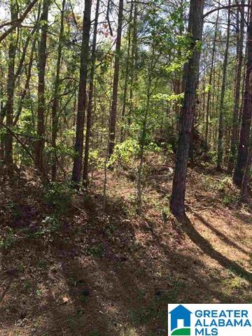 1331 Cedar Creek Road, Unit 4 ACRES Odenville, AL 35120 - Photo 20 of 20