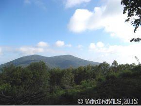 999999 Running Bear Road Hot Springs, NC 28743 - Photo 2 of 4 Gallery Image 2