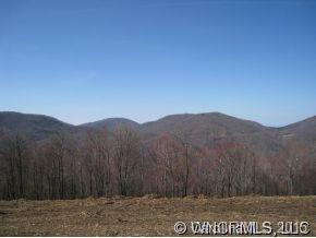 999999 Running Bear Road Hot Springs, NC 28743 - Photo 3 of 4 Gallery Image 3
