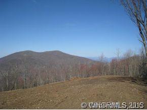 999999 Running Bear Road Hot Springs, NC 28743 - Photo 4 of 4 Gallery Image 4