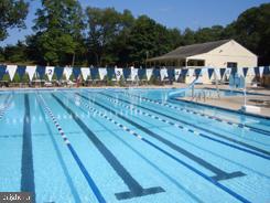 10 Wexford Court Cherry Hill, NJ 08003 - Photo 55 of 56 Wexford swim club pool
