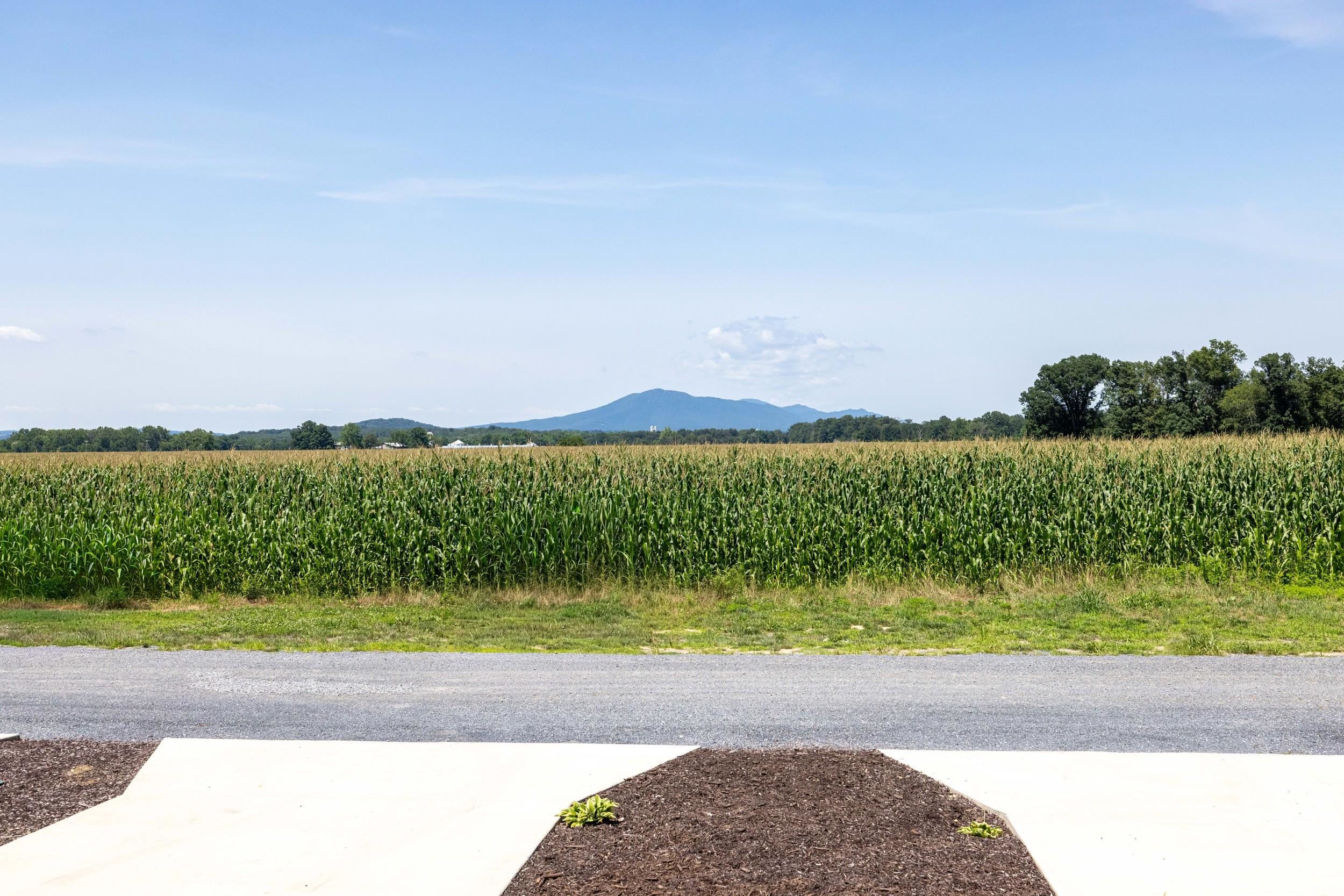121 21st Street Grottoes, VA 24441 - Photo 55 of 60