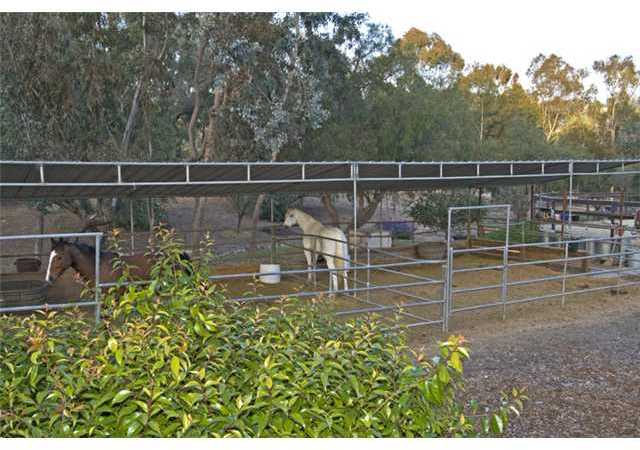 3556 Copper Crest Road Encinitas, CA 92024 - Photo 14 of 25