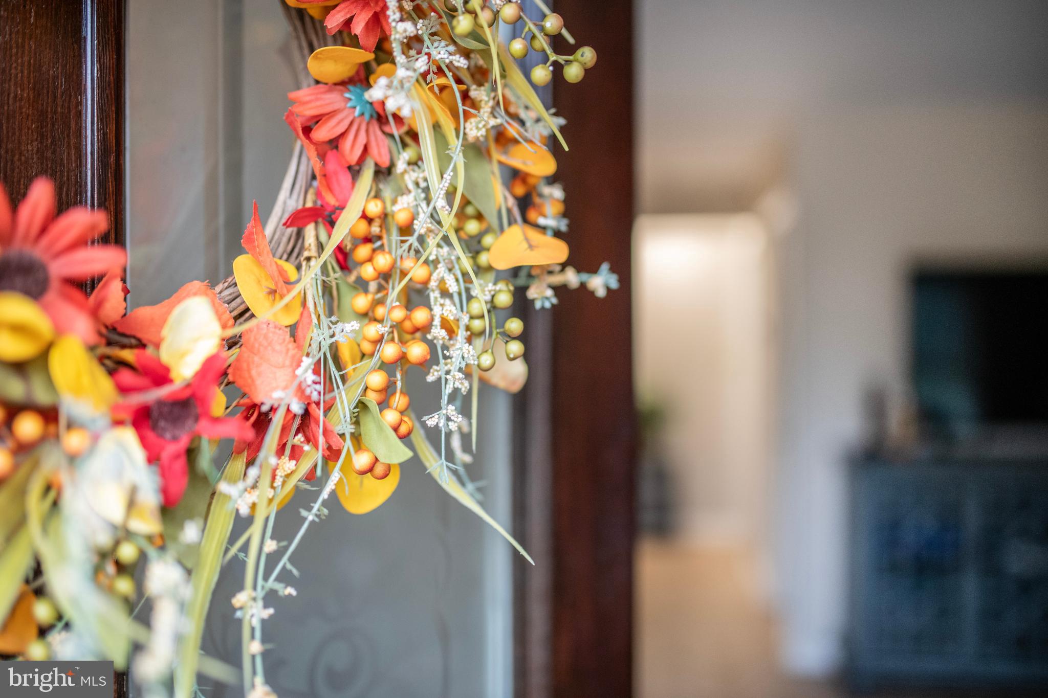 992 Riversedge Circle Annapolis, MD 21401 - Photo 3 of 35 a picture of a door