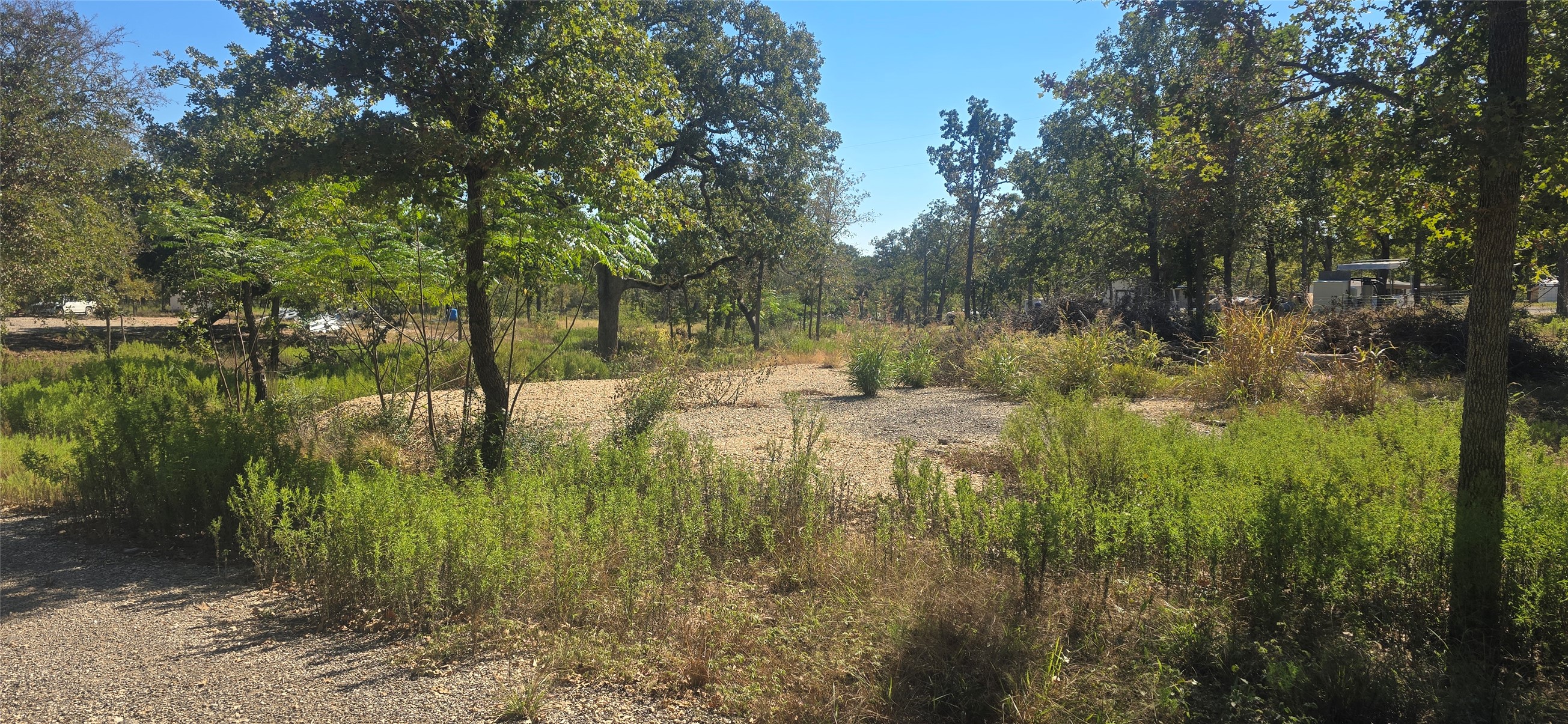 Tbd South Tbd Street Elgin, TX 78621 - Photo 4 of 11 Inner View of the Land