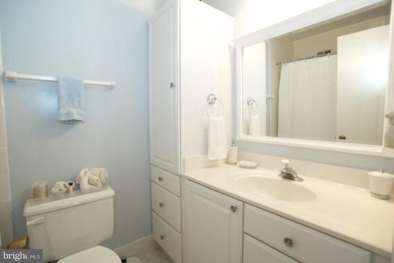 2511 Goldcup Lane Reston, VA 20191 - Photo 19 of 22 Bath #2