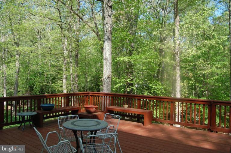 2511 Goldcup Lane Reston, VA 20191 - Photo 5 of 22 Deck