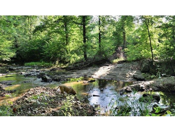 1426 Payne Road Graham, NC 27253 - Photo 20 of 24 Gallery Image 20