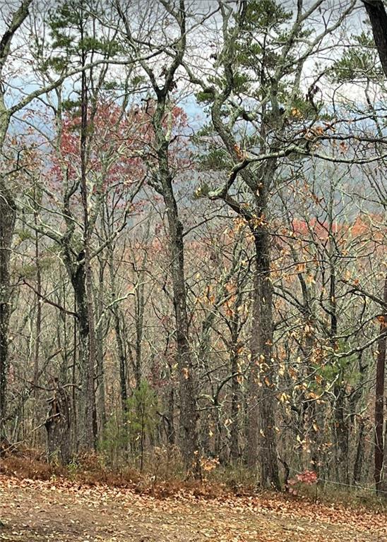 437 McCurry Trail Canton, GA 30114 - Photo 2 of 4 a view of a yard