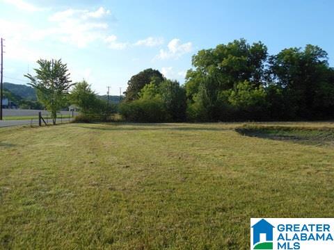4485 Ashville Road Altoona, AL 35952 - Photo 15 of 16