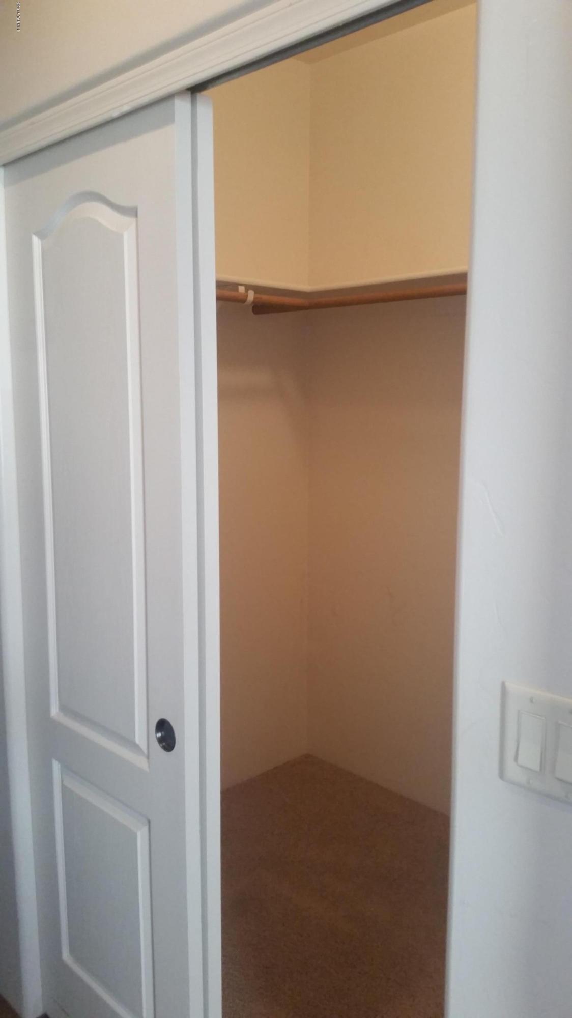 478 East Cedarvale Road Tucson, AZ 85704 - Photo 22 of 39 a view of closet