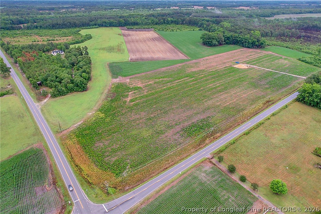 Lot 4 Buie Philadelphus Road Red Springs, NC 28377 - Photo 5 of 11