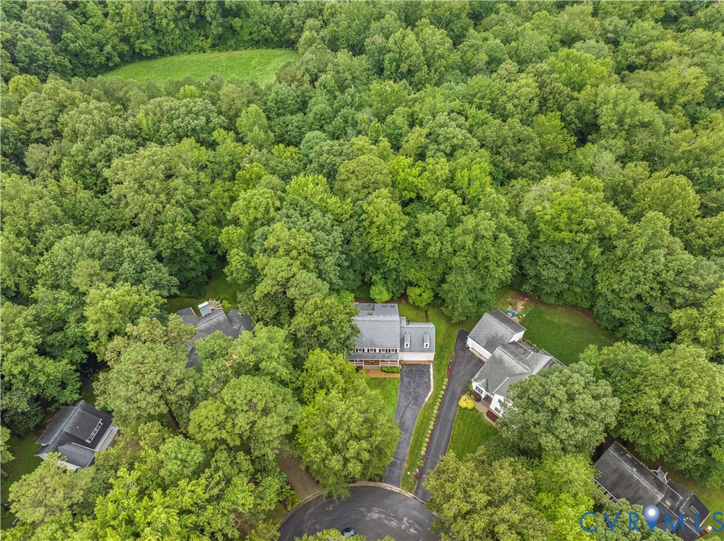 14308 Chimney House Road Midlothian, VA 23112 - Photo 47 of 52 Expansive tree canopy surrounding the property, pr