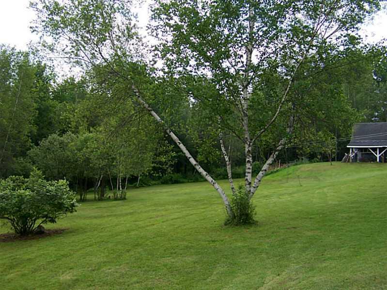 25 Nottingham Road Winthrop, ME 04364 - Photo 32 of 35 Yard/Garden.