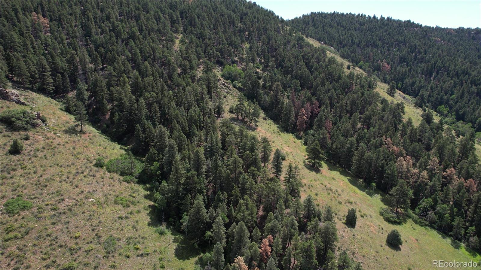 12318 South Foxton Road Conifer, CO 80433 - Photo 45 of 47