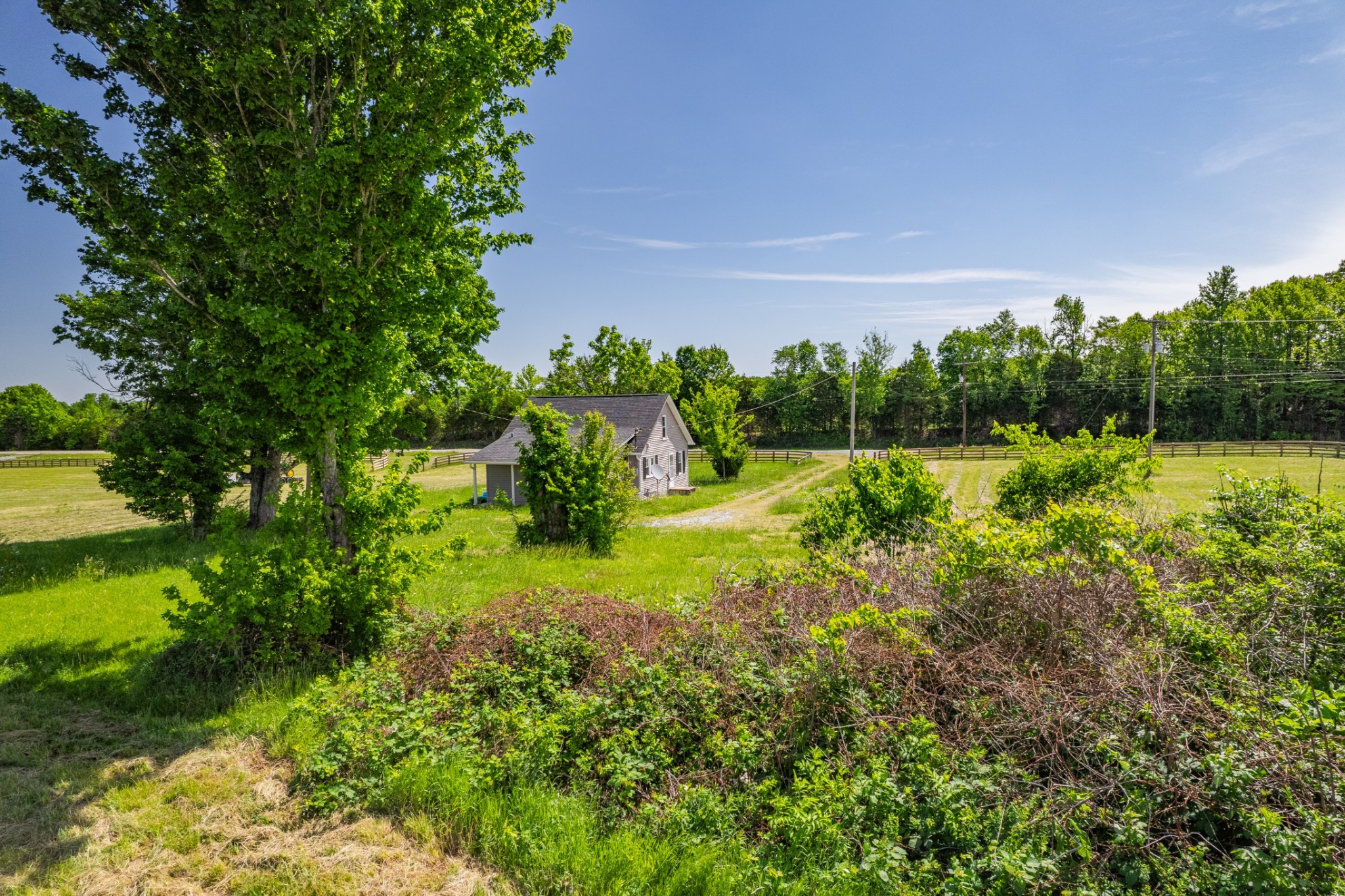 3855 Sylvia Road Dickson, TN 37055 - Photo 12 of 14