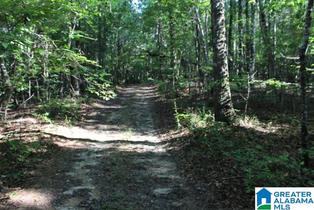 1 Benefield Gap Road Attalla, AL 35954 - Photo 30 of 50