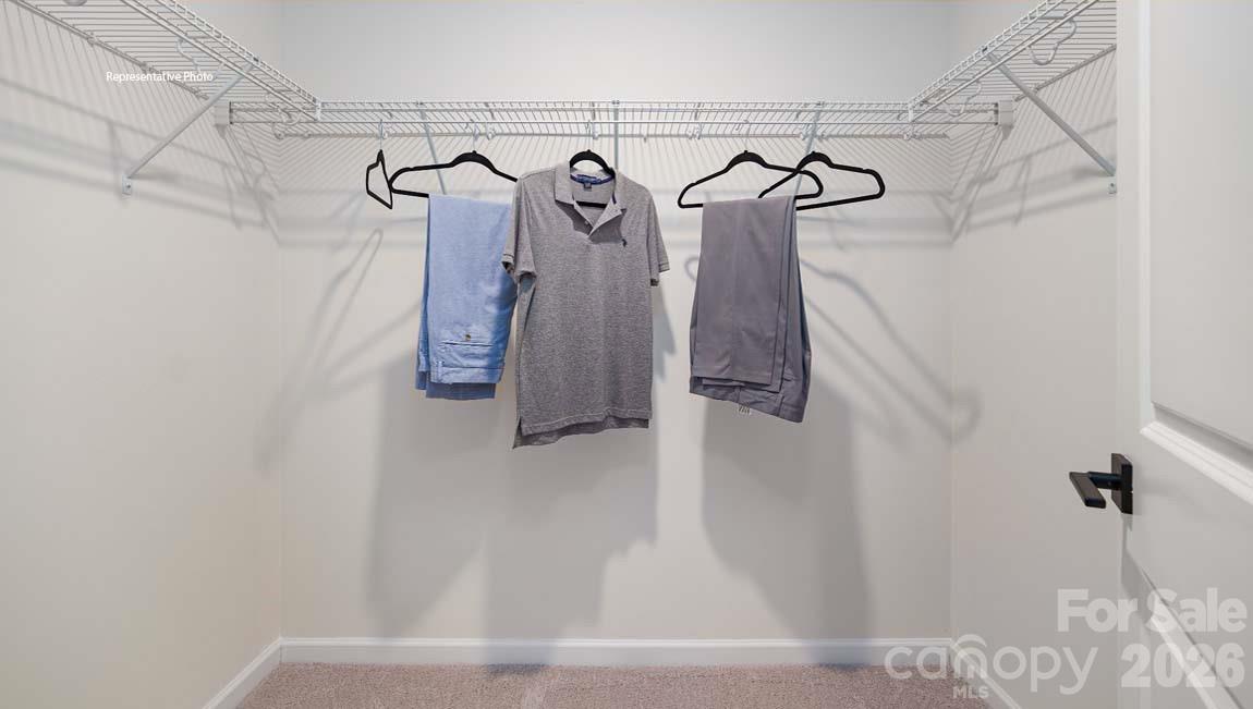 3111 Spring Iris Drive Denver, NC 28037 - Photo 26 of 44 a view of small space