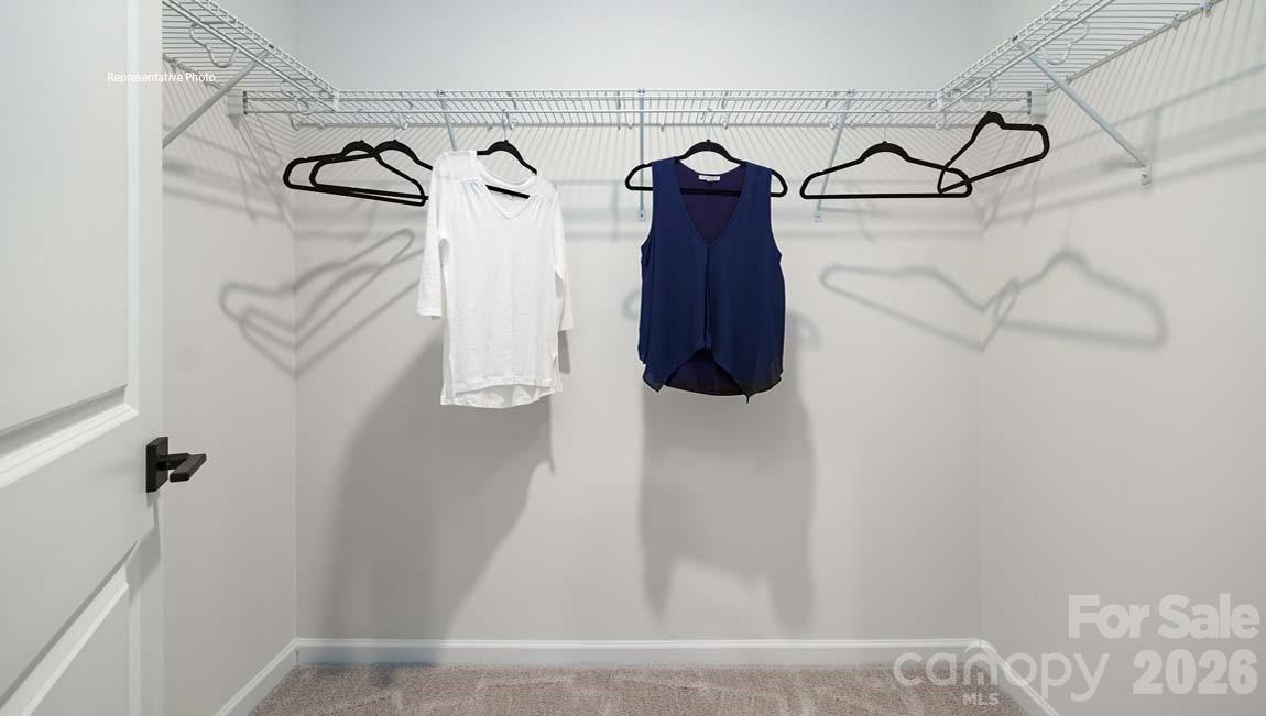 3111 Spring Iris Drive Denver, NC 28037 - Photo 27 of 44