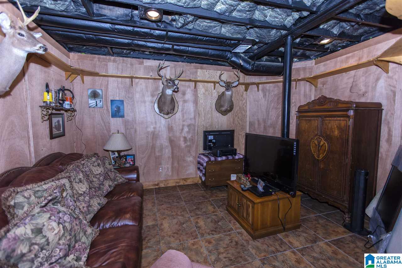 586 Buddy Vines Camp Road Bessemer, AL 35023 - Photo 5 of 50