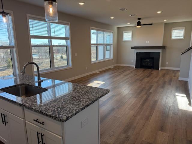 10412 Robinwood Road Chaska, MN 55318 - Photo 4 of 9