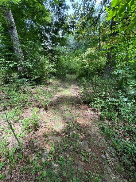 2113 Union School Road Southwest Willis, VA 24380 - Photo 38 of 47 40